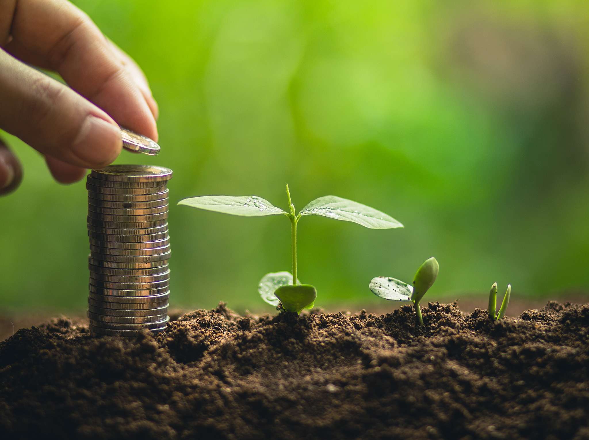 Investissement responsable